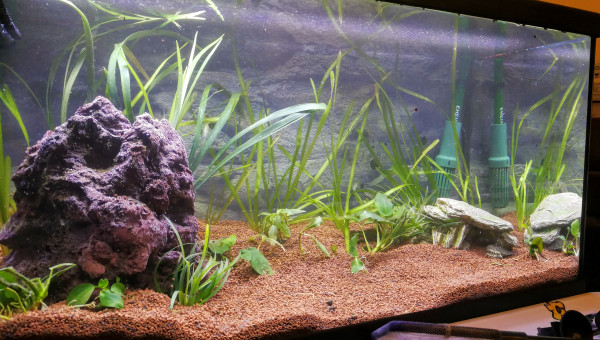 Juste après la mise en eau