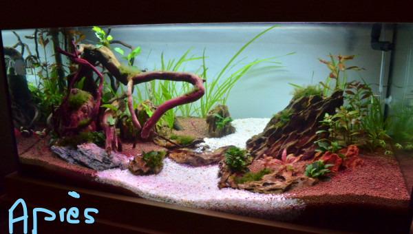 Réaménagement du bac