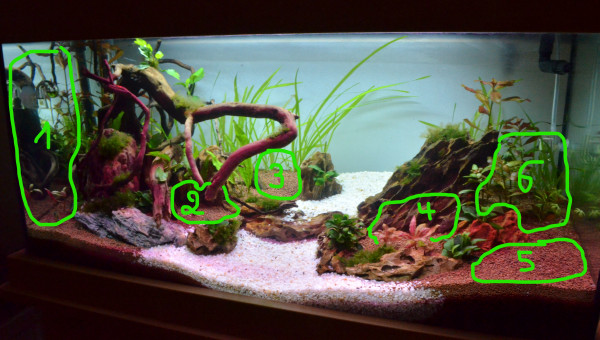 Nouveau plan de plantation