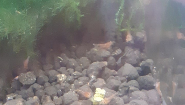 Je suis envahit (c'est faux, on ne l'est jamais)