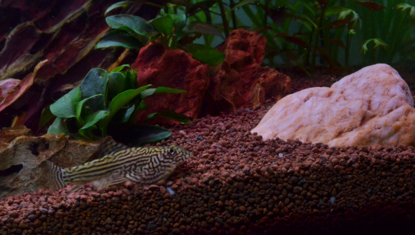 Ajout d'une pierre "lisse"