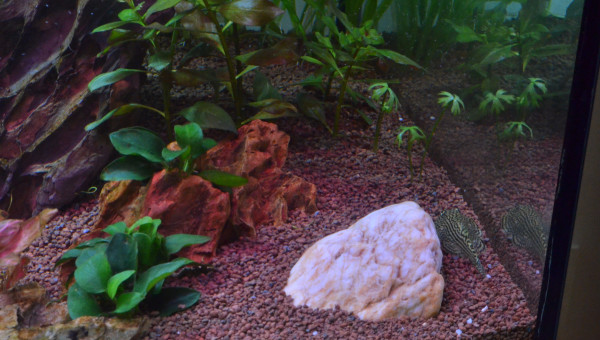 Ajout d'une pierre "lisse"