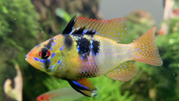 Madame prend la pose.