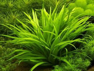 Nouveau plan quasi complet..