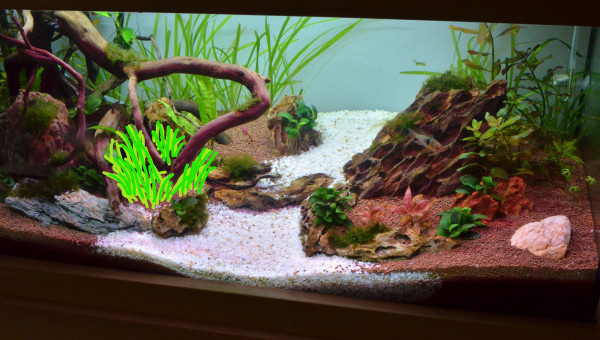 Nouveau plan quasi complet..