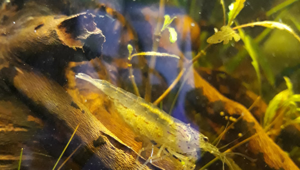 Agréable découverte