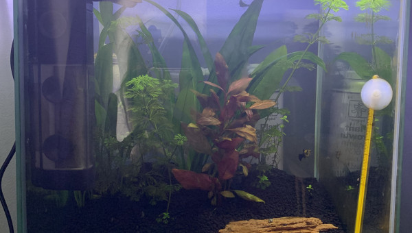 Résultat maintenant