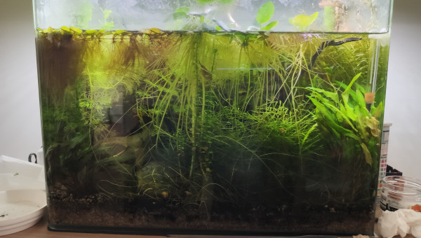 Retour de confinement