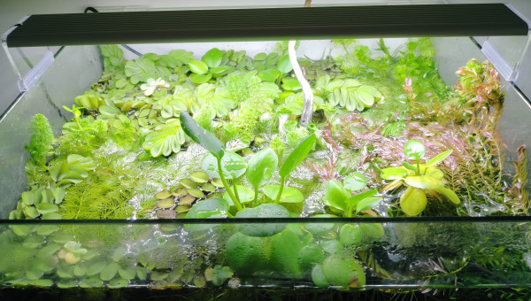 Retour de confinement