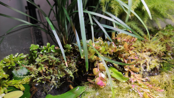 Retour de confinement