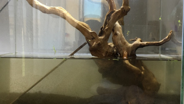 Changement de décors