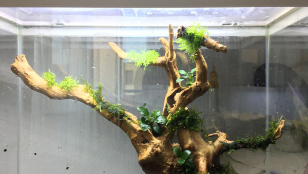 Changement de décors