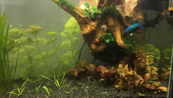 Changement de décors