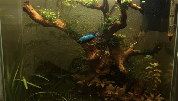 Résultat final après changement de déco