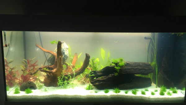 1er jour de mise en route