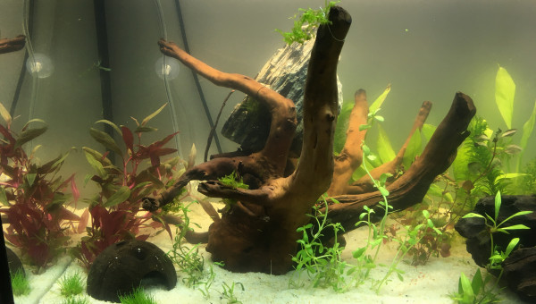 1er jour de mise en route