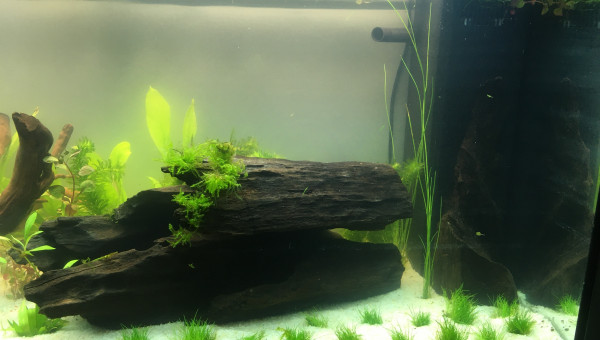 1er jour de mise en route