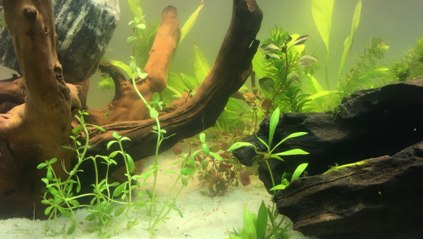 1er jour de mise en route