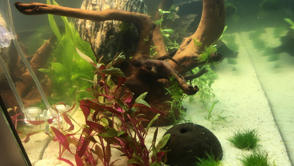 1er jour de mise en route