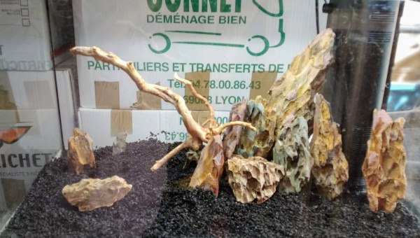 Premier essai "à sec"