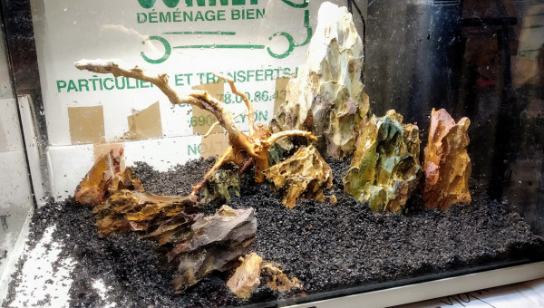 Deuxième essai "à sec"