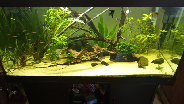 Le bac est complet !!!!! ?