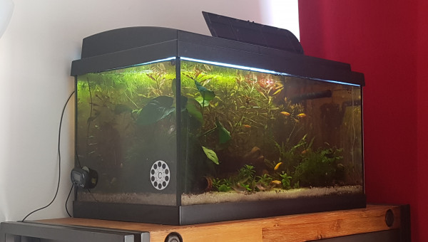 Retro LED+ Controller