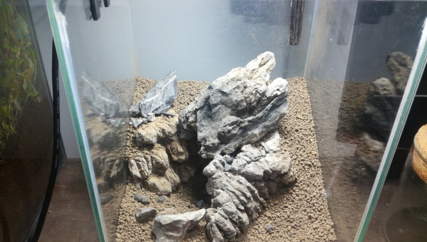 On change le hardscape mais on garde la même idée