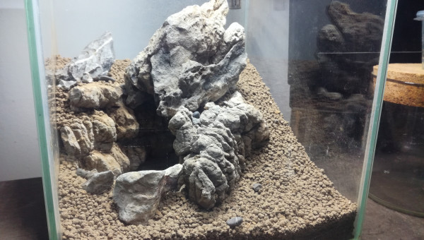 On change le hardscape mais on garde la même idée