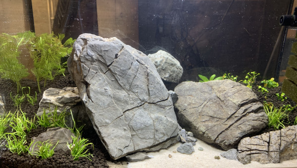 Un petit nouveau dans le garage !