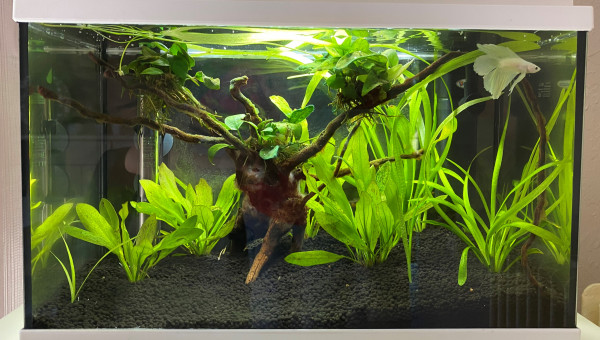 Nano 20L