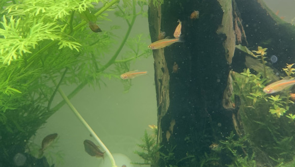 3 mois après leur naissance