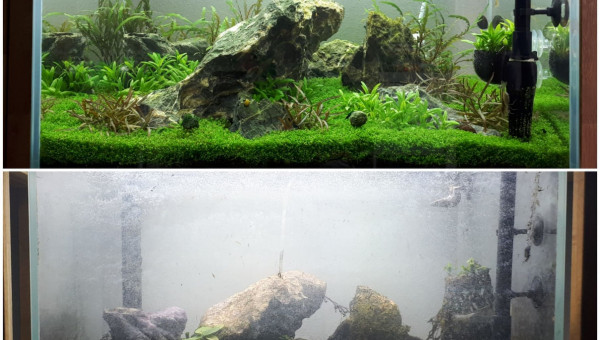 La fin d'une belle histoire