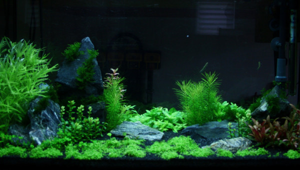 Juwel Rio125 - Jour 25