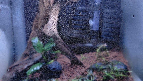 Lancement du dry start