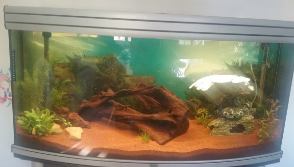 Apres deux semaines de mise en eau