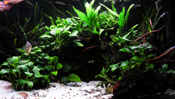 L'entrée de la grotte