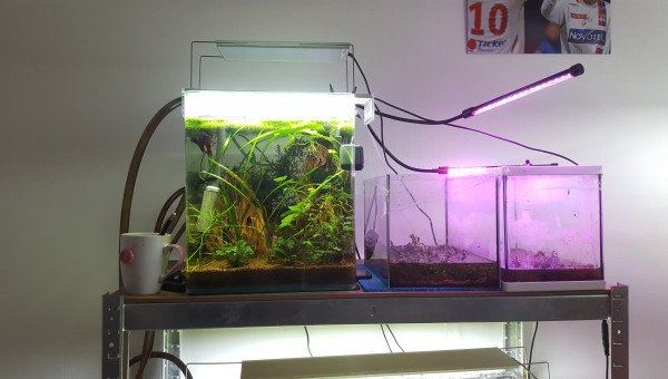 Juni prend ses aises dans son bac