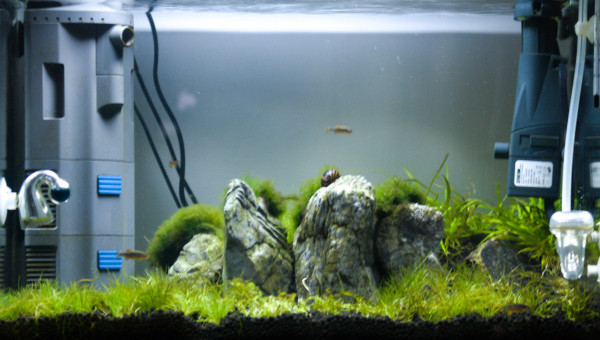 Les Trois Pucelles: 2 mois et demi après