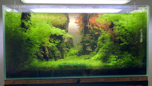 De retour après 3 semaines de vacances