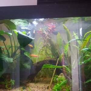 Publication de Mevew