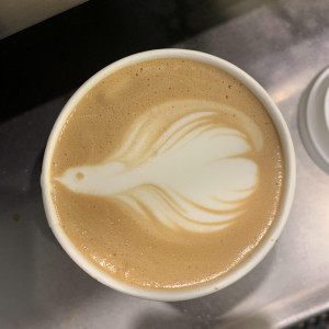 Publication de shanganagh-takhisis