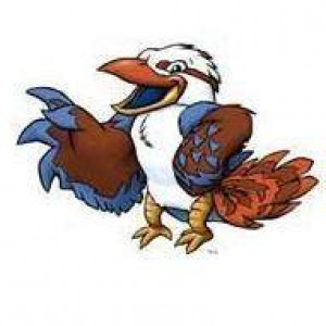 kookab-burra