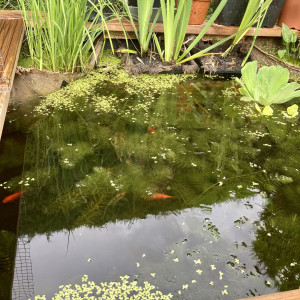 Publication de Emerics27