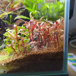 Publication de AwesomeSince82