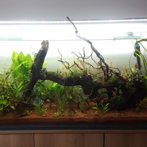 Publication de Minipote768