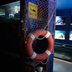 Publication de eddy38