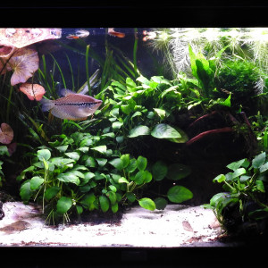 Publication de MarleneMLX