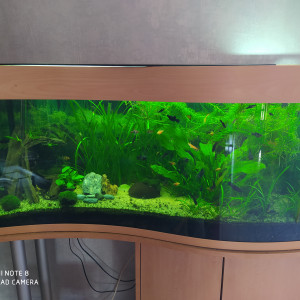 aquarium vague