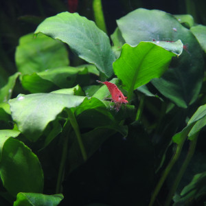 Publication de MarleneMLX